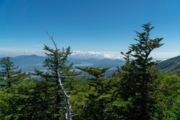 五合目展望台(圖片來源:雲上閣) 五合目展望台(圖片來源:雲上閣)