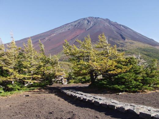 奧庭自然公園(圖片來源:Yamanashi Tourism Organization) 奧庭自然公園(圖片來源:Yamanashi Tourism Organization)