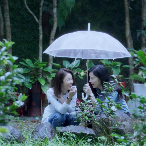 陳豪陳茵媺結婚周年甜蜜遊韓國 影韓式沙龍照遭重手P圖驚變「白面oppa」 