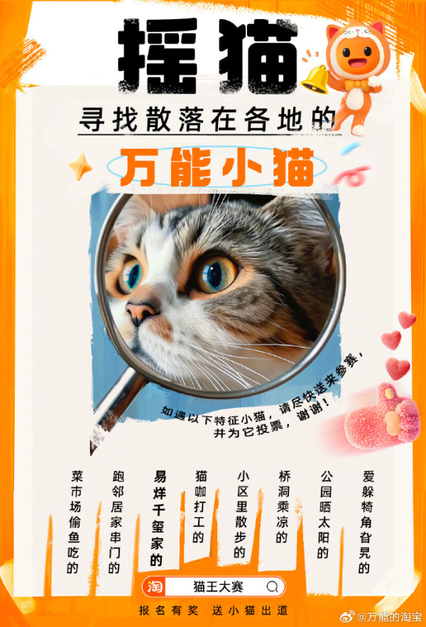 淘寶$110萬徵「代言貓」 包1年貓糧終身保險 首日吸引20萬隻貓報名