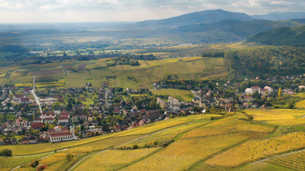 亞爾薩斯歐洲集體（圖片來源：Olympics）