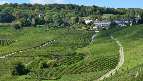 馬恩省（圖片來源：Olympics）