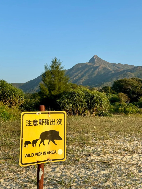 香港露營地點推薦 12. 鹹田灣營地（圖片來源：暴走的桃桃🍑@小紅書）