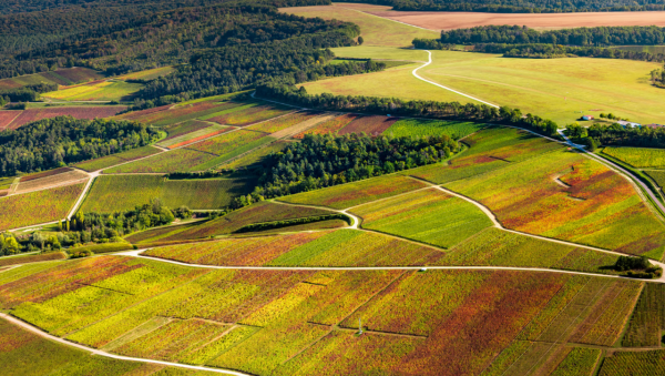 奧布省（圖片來源：Olympics）