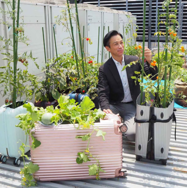 廢物利用｜日本酒店回收住客棄置舊喼 改裝成花盆種菜讚有4大優點