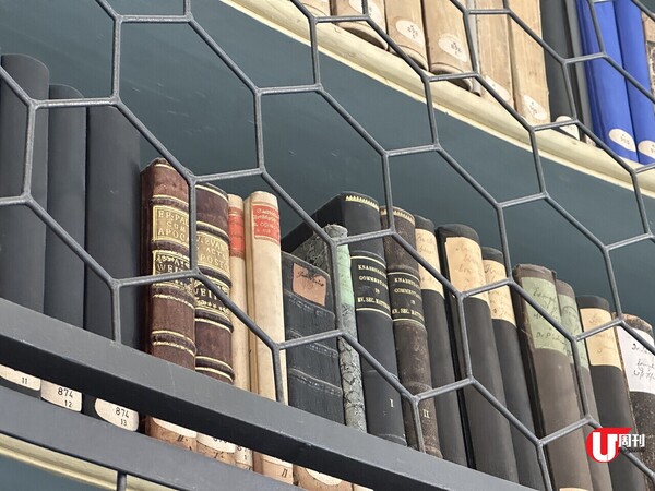 德國旅遊 | 斯圖加特Stuttgart近郊城市【Ulm烏姆】愛因斯坦誕生地、超夢幻童話圖書館 