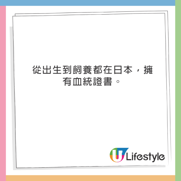 日本燒肉放題老闆爆4招食回本！不應空腹去食、小心「國產牛」陷阱 