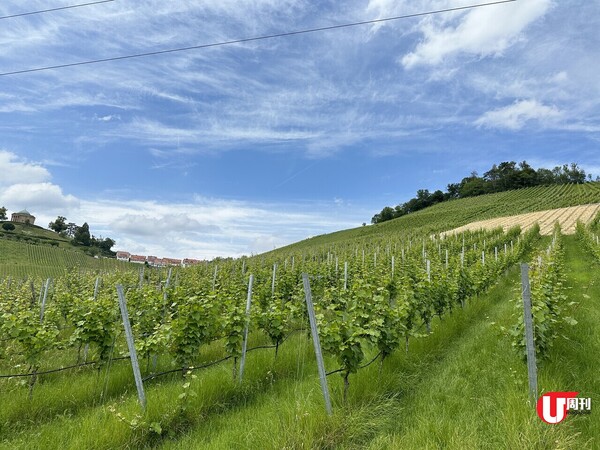 【德國旅遊】車迷大愛！Stuttgart斯圖加特Mercedes-Benz博物館 + 市區3大景點 