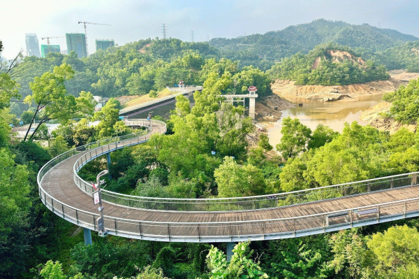 消委會港車北上｜內地自駕交強險12款保費保額比較 保費可差四成三保不包乘客