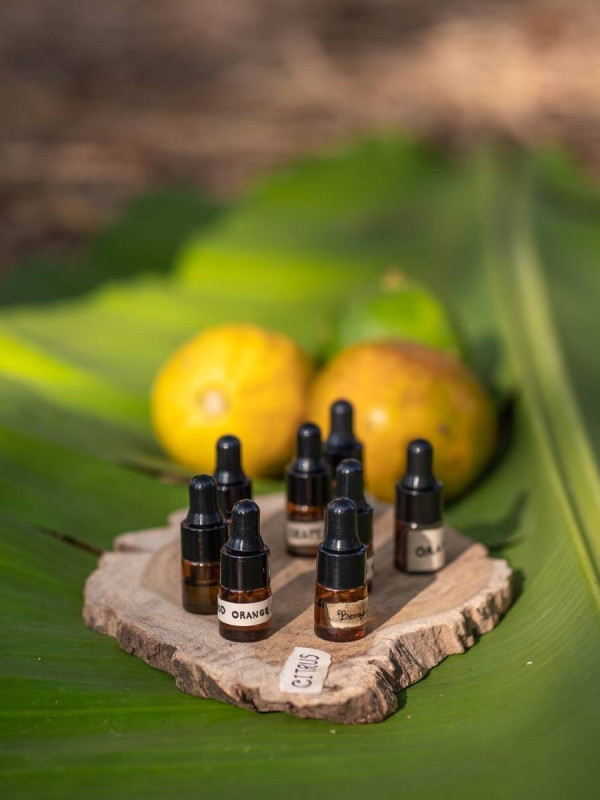 【飛女】遊走泰國北部之旅 - 尋找心靈的淨土 