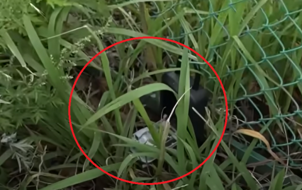 東京街頭驚現大量「神秘鎖匙盒」 居民細思極恐 推測有一暗黑用途？ 