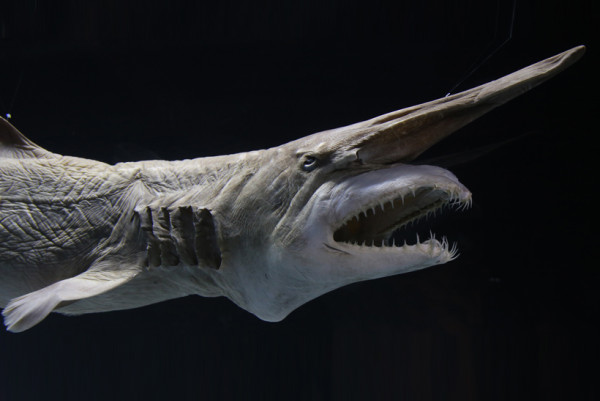 沖繩自由行熱門景點5天4夜行程指南！不開車攻略+美食住宿推介 