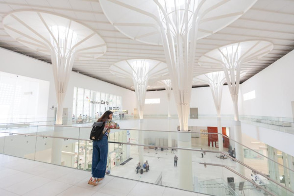 沖繩自由行熱門景點5天4夜行程指南！不開車攻略+美食住宿推介 