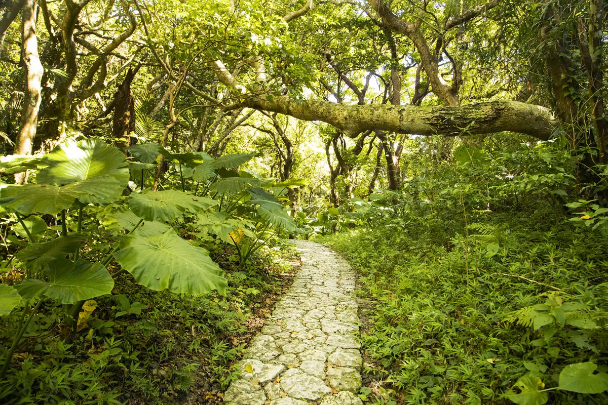 沖繩自由行熱門景點5天4夜行程指南！不開車攻略+美食住宿推介 