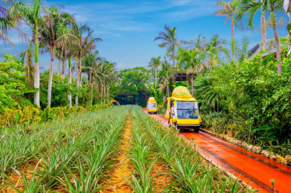 沖繩自由行熱門景點5天4夜行程指南！不開車攻略+美食住宿推介 