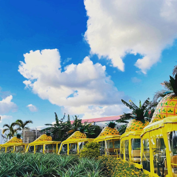 沖繩自由行熱門景點5天4夜行程指南！不開車攻略+美食住宿推介 