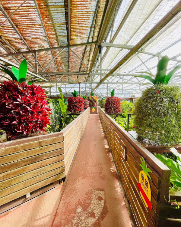 沖繩自由行熱門景點5天4夜行程指南！不開車攻略+美食住宿推介 