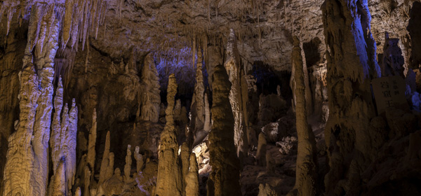沖繩自由行熱門景點5天4夜行程指南！不開車攻略+美食住宿推介 