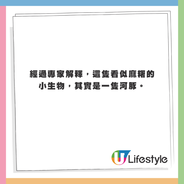 澳洲沙灘驚現幾百個神秘小黑球！緊急關閉景點 化驗結果揭含驚人成分 