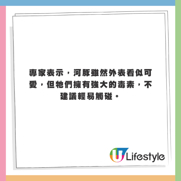 澳洲沙灘驚現幾百個神秘小黑球！緊急關閉景點 化驗結果揭含驚人成分 
