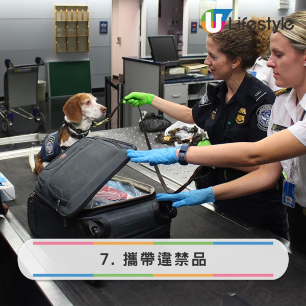 寵物犬被拒上機 狠心女主人機場廁所即場淹死小狗 