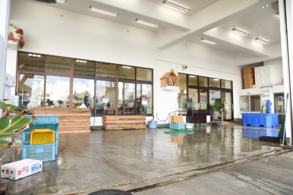 沖繩自由行熱門景點5天4夜行程指南！不開車攻略+美食住宿推介 