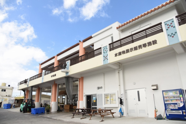 沖繩自由行熱門景點5天4夜行程指南！不開車攻略+美食住宿推介 