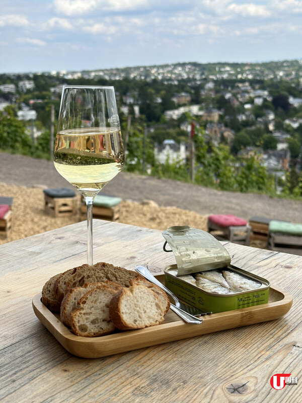 【德國旅遊】法蘭克福30分鐘即達！Wiesbaden威斯巴登 | 德國最老維也納風Cafe、市區葡萄園、世界最大咕咕鐘 