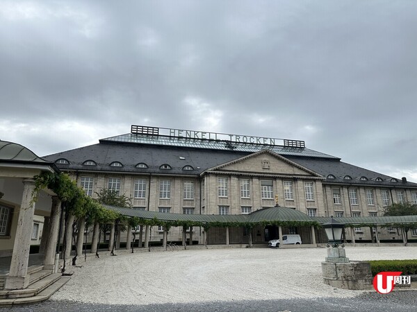 【德國旅遊】法蘭克福30分鐘即達！Wiesbaden威斯巴登 | 德國最老維也納風Cafe、市區葡萄園、世界最大咕咕鐘 