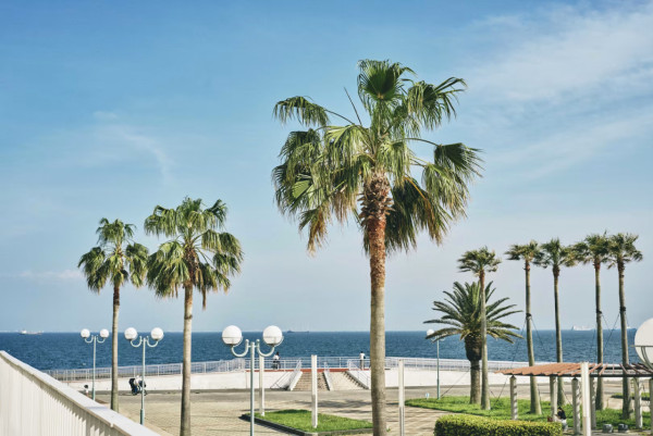 東京新酒店2024「星野1955 Tokyo Bay」6月開幕！鄰近東京迪士尼／美式復古主題 