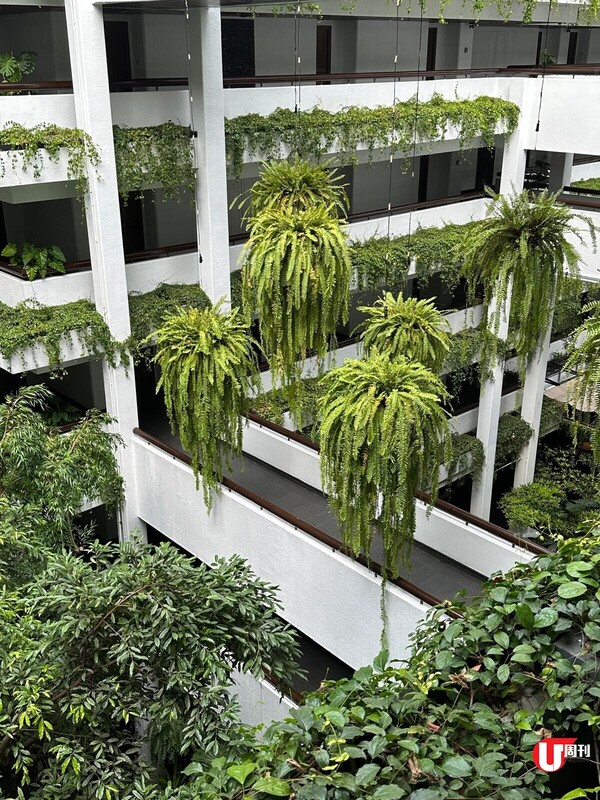 曼谷旅遊 | 港人大愛品牌Anantara,抵價入住城中resort,翻新餐廳間間正