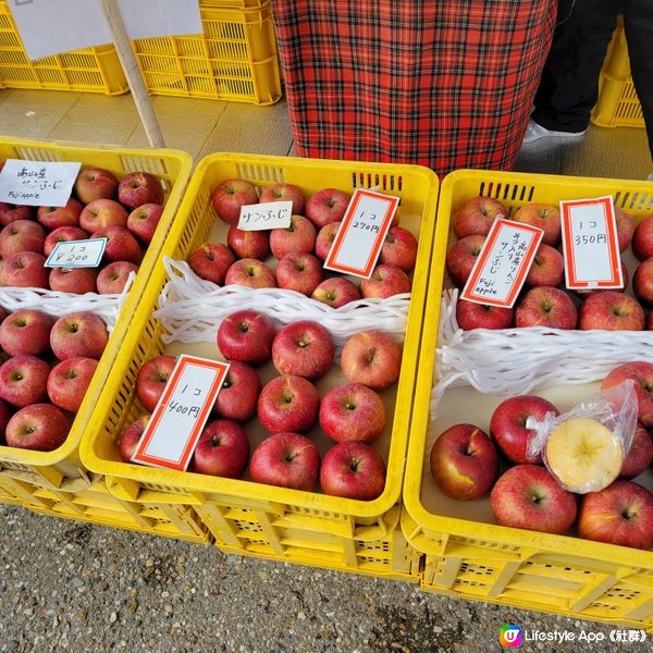 【日本靚景】高山市白川飛驒之旅！簡單生活化行程｜手工藝品、拉麵工廠觀光、日本牛奶雪糕等～ 