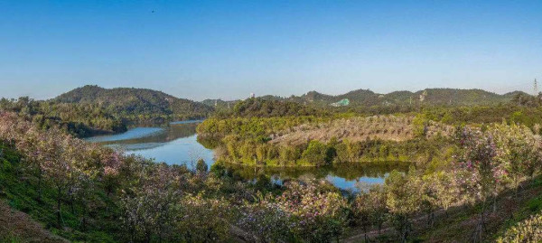 平湖生態園（圖片來源：深圳市城市管理和綜合執法局）