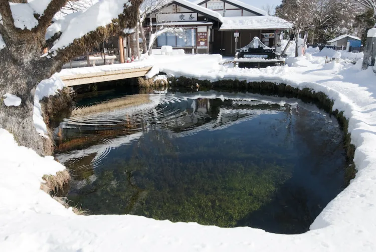 忍野八海（圖片來源：日本國家旅遊局）