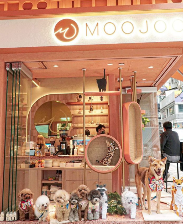 西環好去處│西環8間打卡特色咖啡店  打印咖啡／火龍果燉飯／鹹柑桔咖啡