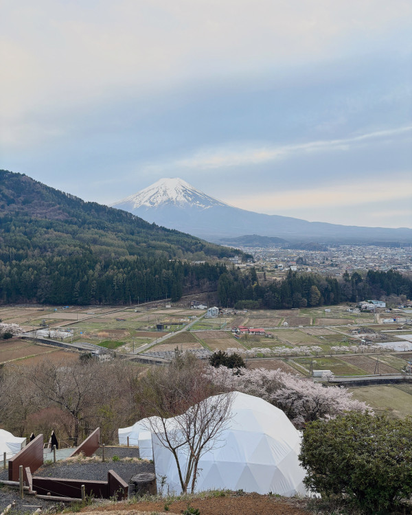 東京旅遊攻略2024 | 富士山絕美打卡住宿+景點推介 豪華露營/玻璃屋/露天溫泉 