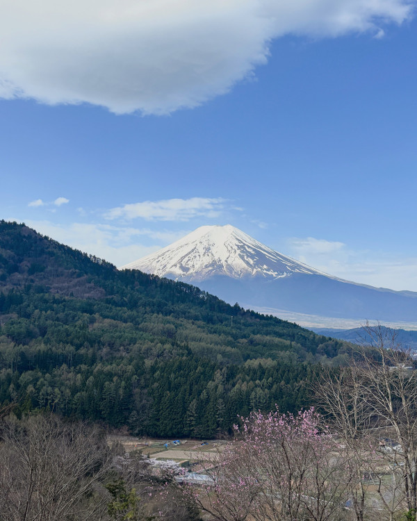 東京旅遊攻略2024 | 富士山絕美打卡住宿+景點推介 豪華露營/玻璃屋/露天溫泉 
