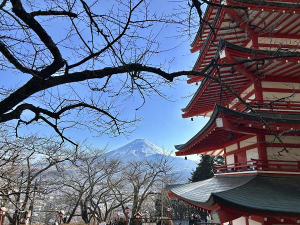東京旅遊攻略2024 | 富士山絕美打卡住宿+景點推介 豪華露營/玻璃屋/露天溫泉 