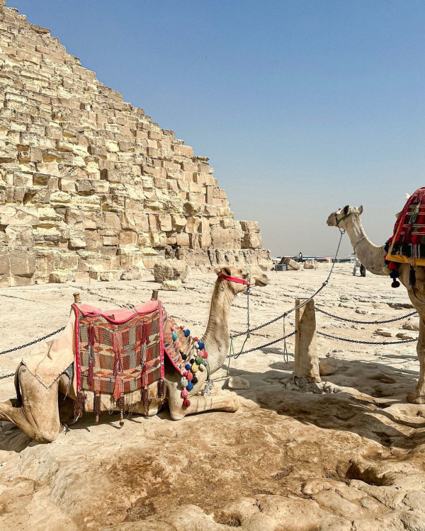 「溜冰女神」馬曉晴快閃旅行遊歐亞非 火辣比堅尼大曬Fit爆身材