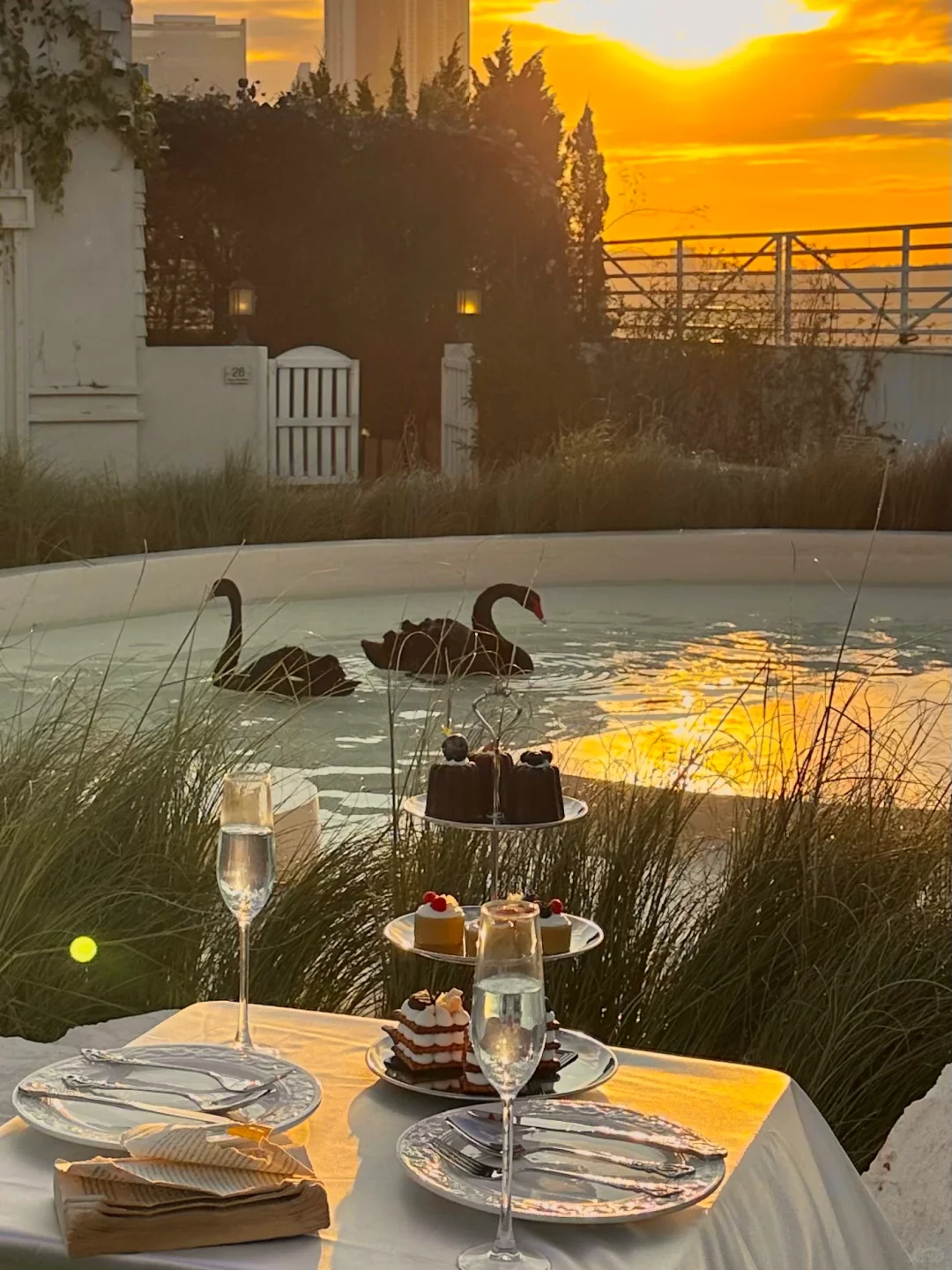 深圳Blue Concept關於藍Cafe！法式黑天鵝下午茶！ 