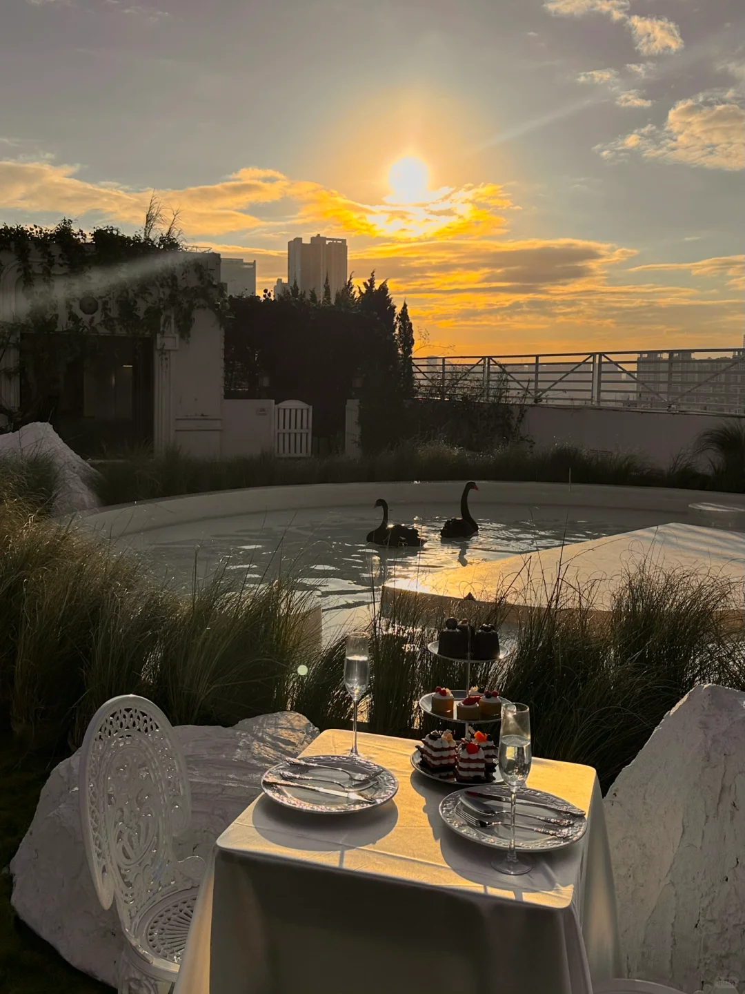 深圳Blue Concept關於藍Cafe！法式黑天鵝下午茶！ 