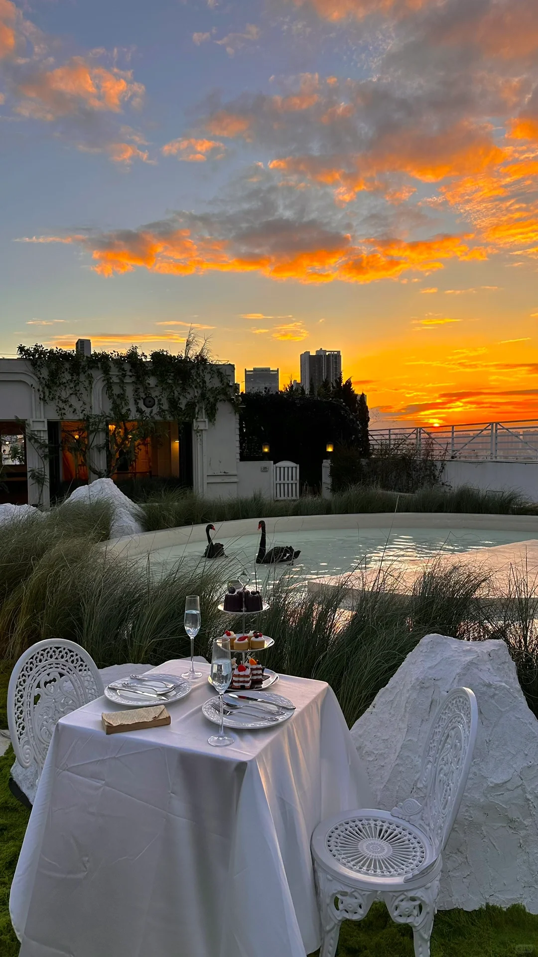 深圳Blue Concept關於藍Cafe！法式黑天鵝下午茶！ 