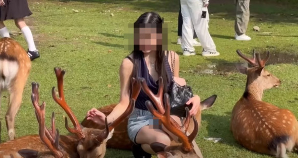 女遊客疑坐奈良鹿身上影相被轟 網友質疑角度問題 揭開影片真相
