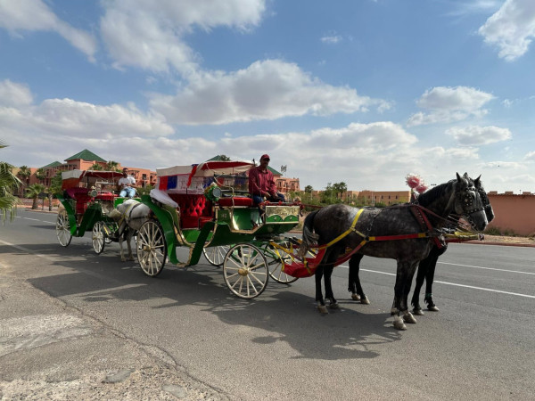 【自遊攻略】邂逅摩洛哥紅城魅力 