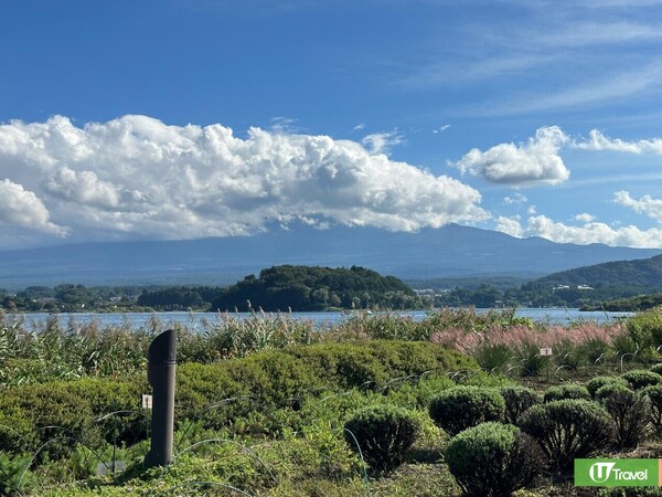 河口湖畔「大石公園」（韋珈萱攝） 