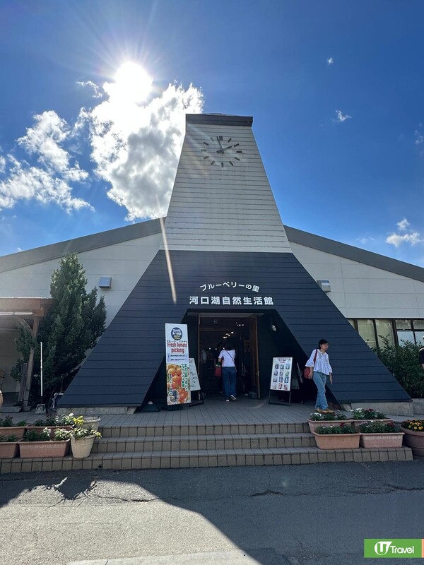 河口湖畔「大石公園」（韋珈萱攝） 