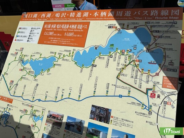 河口湖巴士路線（韋珈萱攝） 