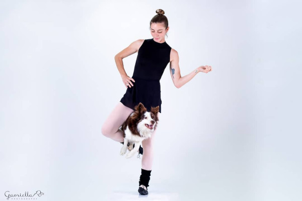 牧羊犬化身舞王登全美一叮 熱辣勁舞威過Mirror！ 