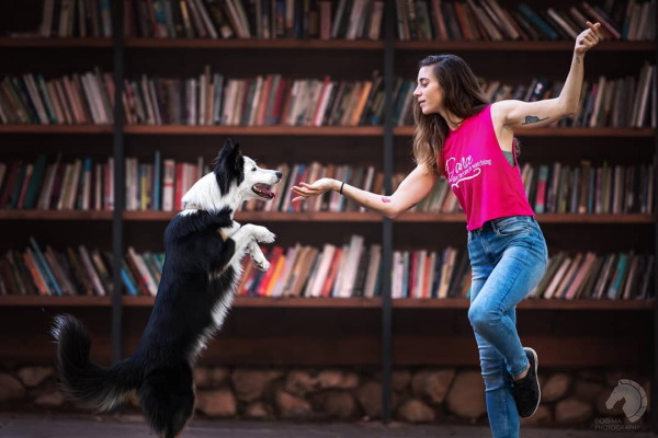 牧羊犬化身舞王登全美一叮 熱辣勁舞威過Mirror！ 