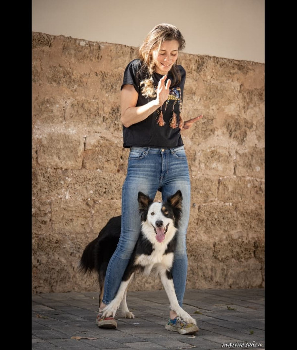 牧羊犬化身舞王登全美一叮 熱辣勁舞威過Mirror！ 